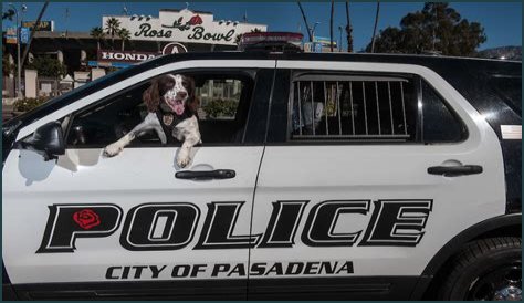 Unraveling The Pasadena Police Chase Today: A Closer Look